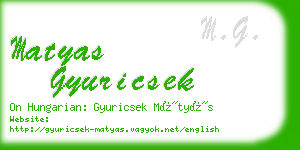 matyas gyuricsek business card